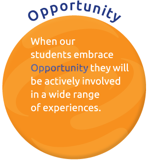 WPS-2015-17-Opportunity.png