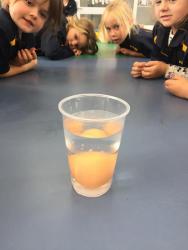 Egg 1