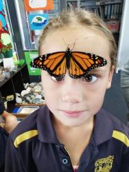 Kora with a monarch