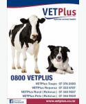 VETPlus 2017