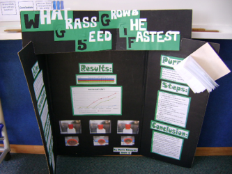 Room 2 seed and growing conditions study