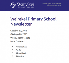 EmailNewsletter