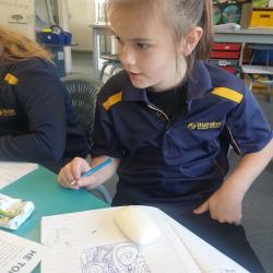 5. Carving up a good read ryleigh planning