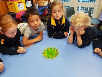 science round rainbows room11+16 15