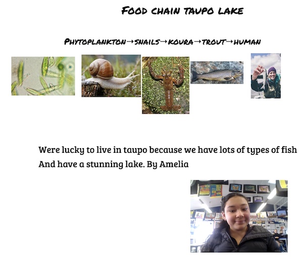 inquiry-lakefoodchain-kelly-01.jpeg