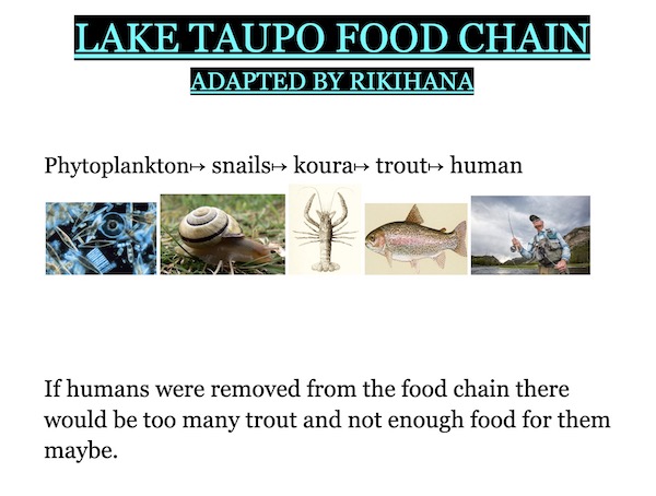 inquiry-lakefoodchain-kelly-06.jpeg