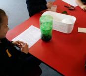 Room 13 Water cycle in a bottle