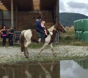Wairakei Primary School PTA HorseTrek 2017 5075